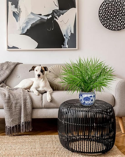 Hollyone Large Artificial Potted Plants Fake Palm Plants 16" Faux Green Plant Plastic Tropical Palm Tree in Blue and White Porcelain Ceramic Pots for Home Room Office House Indoor Decoration