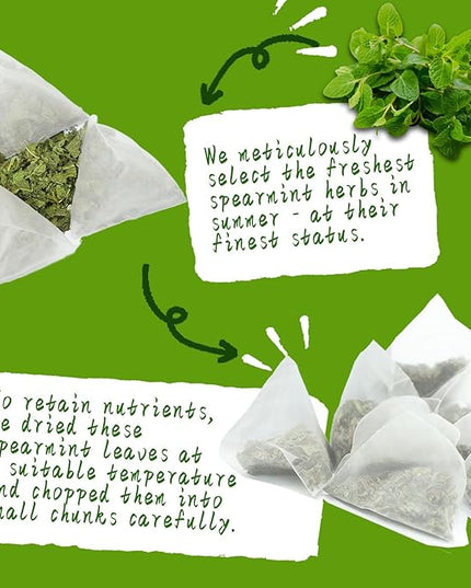 Jarteela - Spearmint Tea Bag, 1.5g x 60 Count - Pure Spearmint Leaves - Natural Herbal Tea Bags for Digestion - Non-GMO - Caffeine-free Tea