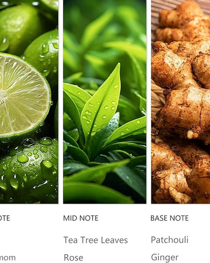 Hotel Diffuser Oil Hope - 120ML Luxury Essential Scent Oils for Cold Air & Waterless Diffusers, Long-Lasting Fragrance Oil for Home, Spa, Office - Premium Aroma Oil Refill, Hotel-Style Air Freshener