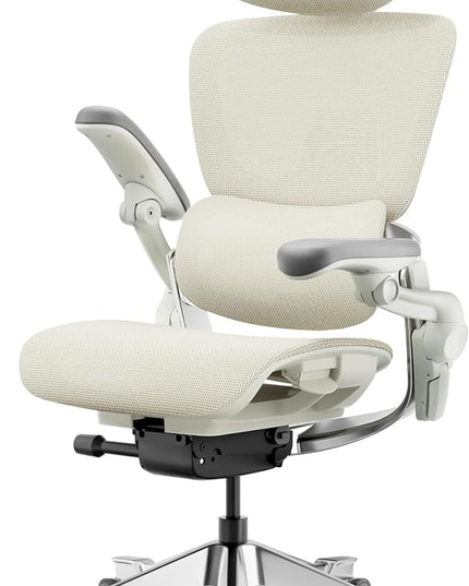 HINOMI H2 Pro Premium Ergonomic Office Chair - Comfy Home Office Desk Computer Chair with Adjustable Back Support, Swivel Wheels, Flip-up Arms, Comfortable Mesh Seat for Desk Work (Cream White)