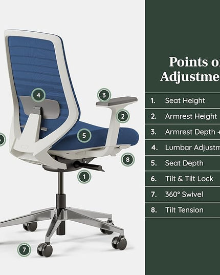 Branch Ergonomic Chair - A Versatile Desk Chair with Adjustable Lumbar Support, Breathable Mesh Backrest, and Smooth Wheels - Experience Optimal Comfort and Support - Baltic