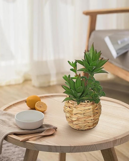 10" Large Succulents Plants Artificial in Wooden Pots, Fake Succulents in Woven Pots, Faux Succulent Artificial Plants Indoor for Home, Bedroom, Living Room, Bathroom Desk Shelf Table Decor