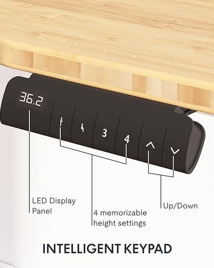 FlexiSpot E6 Bamboo 3-Stage Dual Motor Electric Standing Desk 48 x 24 Sit Stand Up Desk, Holds 220 lbs, Adjustable Height w/ Memory Presets, Solid Bamboo Curved Desktop & Black Frame, Ships in 2 Boxes
