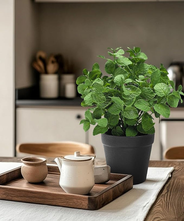 Coferset Small Fake Plants Mint Artificial Potted Plants for Home Office Bathroom Shelf Farmhouse Coffee Table Decor (Green)