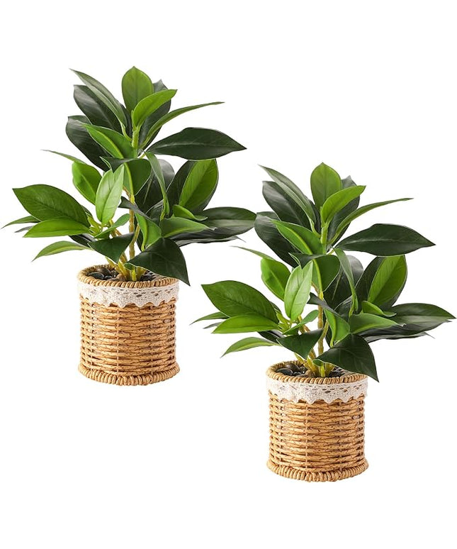 Nubry 2 Pack Fake Plants Artificial Potted Plants with Weaved Pot for Shelf & Table Desk | Perfect for Home Office Bathroom Farmhouse Room Coffee Table Decor 10‘’
