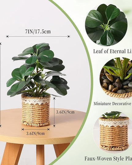 Nubry Fake Plants Artificial Potted Plants with Weaved Pot for Shelf & Table Desk | Perfect for Home Office Bathroom Farmhouse Room Coffee Table Decor 10‘’