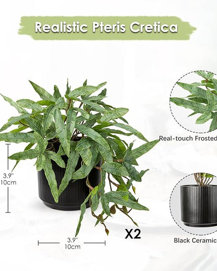 Briful Faux Plants Indoor 9'' Artificial Potted House Plant with Black Ceramic Pot Fake Pteris Cretica Fern Plant for Home Office Room Desk Shelf Decor Indoor(2PACK)