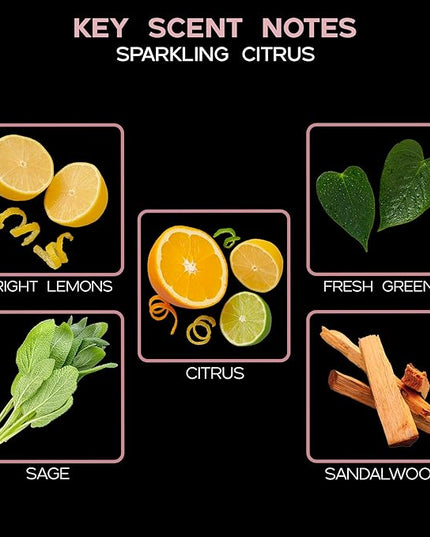 LOVSPA Reed Diffuser Set, Sparkling Citrus Scented Oil Diffuser with Sticks, Home Fragrance Accessories for Bathroom Shelf Decor, Aroma Diffusers for Home or Office Desk, USA Made