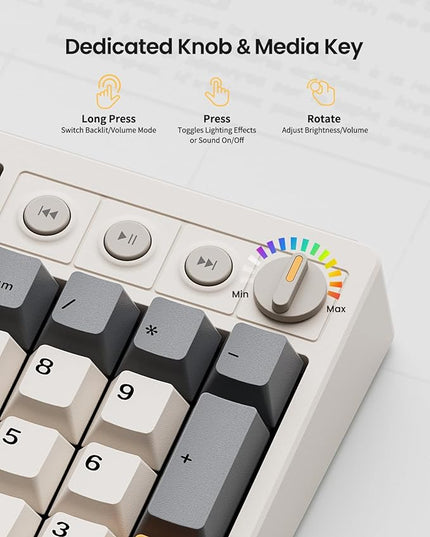 Wireless Mechanical Keyboard,104 Keys 100% Full Size with Number Pad,Gasket Mounted Creamy Sound,Hot Swappable,Knob& Media Keys,Bluetooth/2.4GHz/USB-C for Gaming/Typing/Win/Mac/PC (Retro Beige)