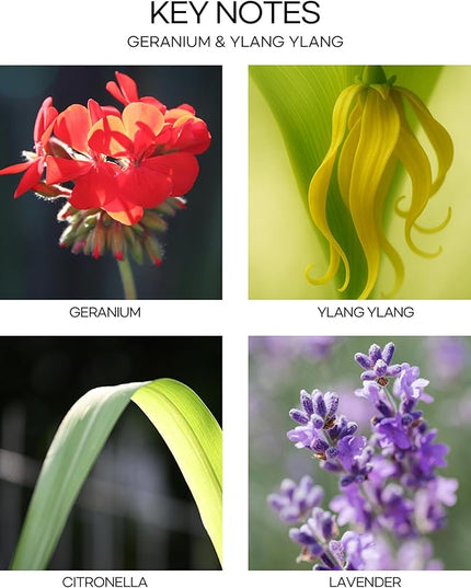 CULTURE & NATURE Pure Grade Essential Oil Diffuser (Geranium & Ylang Ylang)