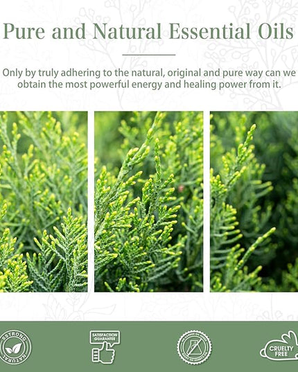Cypress 3.38fl.oz Essential Oil, PHATOIL Aromatherapy Essential Oils for Diffuser, Humidifier, Perfect for DIY Soap, Candle, Bath Bombs Making(100ml)
