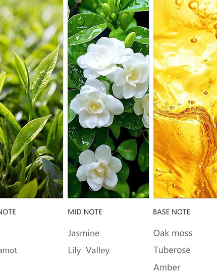 Waterless Essential Oil 20ml, Black Tea Scent with Bergamot, Jasmine, Lily of The Valley& Oak Moss, Fragrance Oil for Waterless Diffusers, Home Hotel, Office and car Aroma Scent Oil