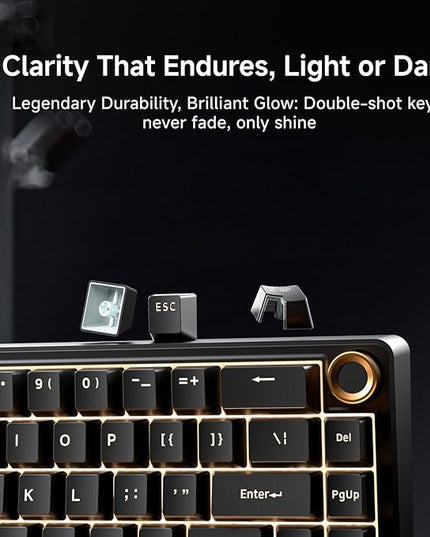 DIERYA DK68E 60% Mechanical Gaming Keyboard, Hot Swappable, Pre-Lubed Linear Switches, Gasket Mount, 5-Layer Dampening Foam, Programmable, Volume Knob, RGB Backlit, 68 Keys, Wired, Black