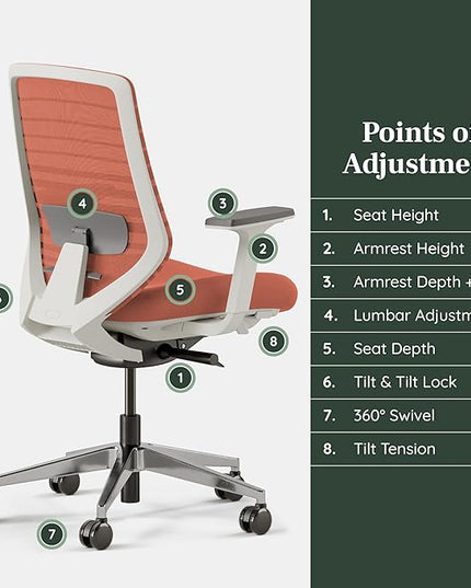Branch Ergonomic Chair - A Versatile Desk Chair with Adjustable Lumbar Support, Breathable Mesh Backrest, and Smooth Wheels - Experience Optimal Comfort and Support - Poppy