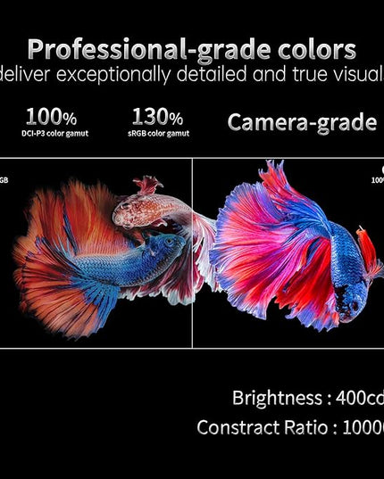 INNOCN Portable Monitor 13.3" OLED 1080P 100% DCI-P3 1MS 100000:1 USB C Plug Play Second Travel Computer Display Mini HDMI Photo Video Editing for Laptop MacBook PC Console