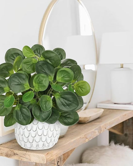 13" Artificial Plants Indoor Small Fake Plant in White Ceramic Pot, Silk Plants for Home Decor Indoor, Faux Potted Plant for Shelves, Desks, Home, Room, Office, Bedroom, Entryway, Tabletop Decor