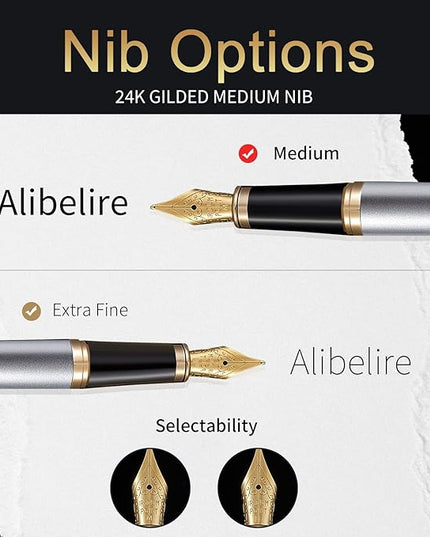 HDDNB Silver Luxury Fountain Pen Set for Men and Women with Gift Box, 24K Gold Finish and Gilded Nib(Medium) with 5 Black Ink Cartridges and Converter