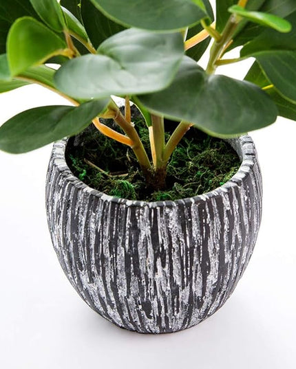AlphaAcc Artificial Plants Real Looking and Touching Fake Plant Evergreen Plastic Fiddle Leaf Fig Plant with Rustic Black Cement Planter for Housewarming Office Desk Decor