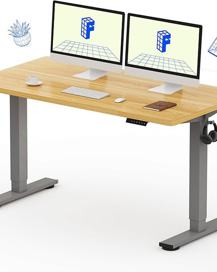 FLEXISPOT EN1 One-Piece Electric Standing Desk, 55 x 28 inch Stand Up Desk for Home Office (Silver Frame + 55" Natural Top, 2 Packages)