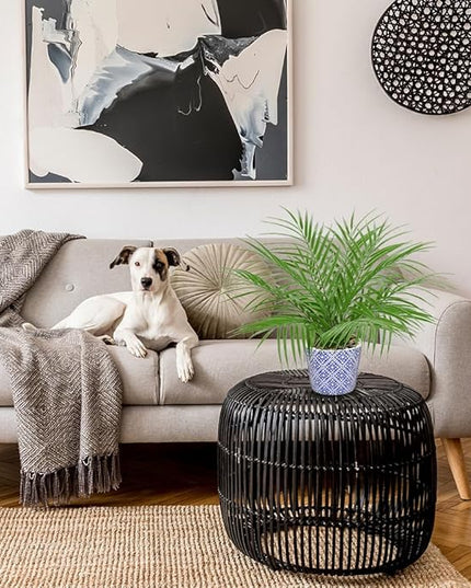 Hollyone Large Artificial Potted Plants Fake Palm Plants 16" Faux Green Plant Plastic Tropical Palm Tree in Blue and White Ceramic Pots Bohemian for Home Room Office House Indoor Decoration