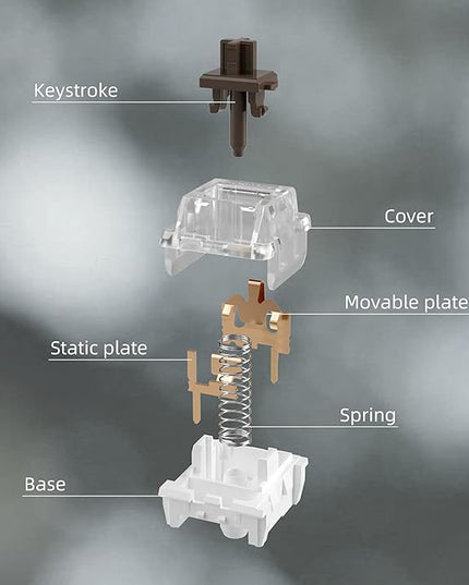 ZhouWang Brown Switch 3 Pin 50gf Pre-Lubricated,Dustproof Tactile Switch,Suitable for RGB,Mechanical Gaming Keyboards、MX Mechanical Keyboard(Brown,36PCS)