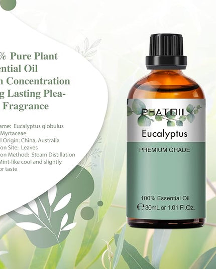 PHATOIL Eucalyptus Essential Oil 30ML, Pure Eucalyptus Essential Oils for Diffuser, Humidifier, Aromatherapy, Perfect for DIY Soap, Candle, Bath Bombs Making