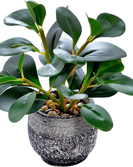 AlphaAcc Artificial Plants Potted Real Looking Small Faux Plant with Rustic Black Cement Planter for Kitchen Office Desk Bookshelf Decor (Ficus Plant)
