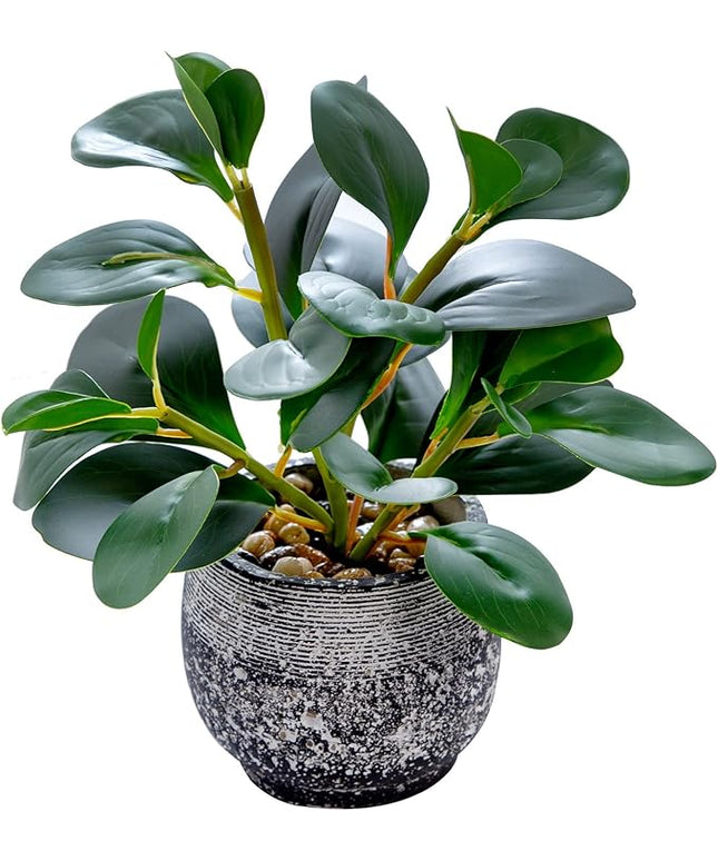 AlphaAcc Artificial Plants Potted Real Looking Small Faux Plant with Rustic Black Cement Planter for Kitchen Office Desk Bookshelf Decor (Ficus Plant)