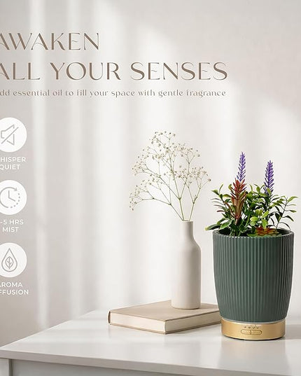 Earnest Living Essential Oil Diffuser Ceramic Artificial Succulent Plants Potted Diffuser 100 ml for Lavender Essential Oils Timers Night Lights and Auto Off Humidifier Aromatherapy Diffusers for Gift