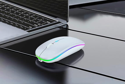 Wireless Bluetooth Mouse Rechargeable Laptop Mice with LED Lights Silent Slim Use(BT5.2 & USB 2.4G Portable Receiver) Dual Mode Computer Mouse for Laptop/iPad/Tablet/Apple/Computer/Mac(White)