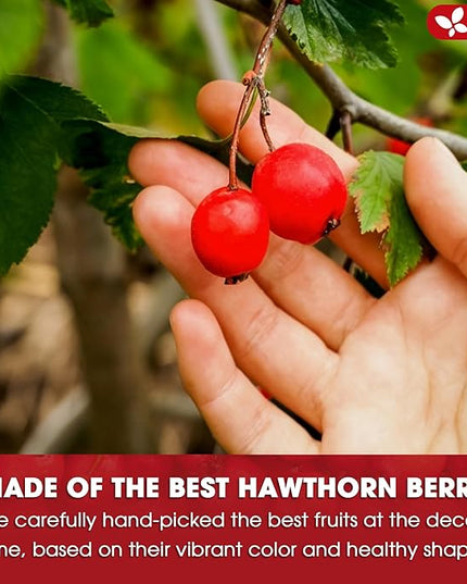 FreshDrinkUS, Premium Hawthorn Berry Tea - 75 Tea Bags - 100% Natural Herbal Infusion, Caffeine-Free, Rich Aroma & Smooth Taste. Vegan