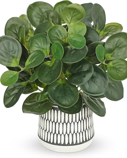 12" Artificial Plants Indoor Small Fake Plant in Ceramic Pot, Silk Plants for Home Decor Indoor, Faux Peperomia Potted Plant for Shelves, Desks, Home, Room, Office, Bedroom, Entryway, Tabletop Decor