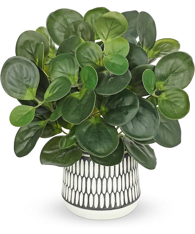 12" Artificial Plants Indoor Small Fake Plant in Ceramic Pot, Silk Plants for Home Decor Indoor, Faux Peperomia Potted Plant for Shelves, Desks, Home, Room, Office, Bedroom, Entryway, Tabletop Decor