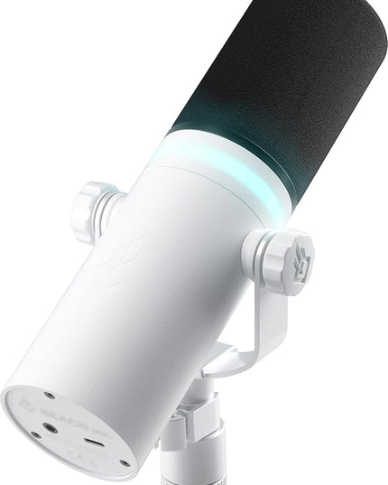BEACN Light Dynamic USB Mic for PC | Professional Microphone for Podcast, Gaming, Streaming | Studio-Quality Desk Mic for YouTube, Twitch, and Recording | Microphone for PC, Gaming & Streaming