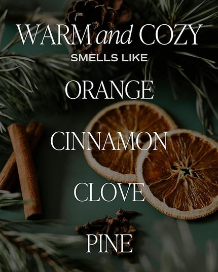 Sweet Water Decor Warm and Cozy Reed Diffuser Set - Orange, Cinnamon, Clove, and Pine Fall and Winter Scented Diffuser - Scent Diffusers for Home, Long Lasting Fragrance, Made in The USA