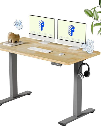 FLEXISPOT EN1 One-Piece Solid Wooden Standing Desk 48 x 24 Inches Height Adjustable Electric Sit Stand Home Office Desks (Silver Frame + Rubber Wood Top, 2 Packages)