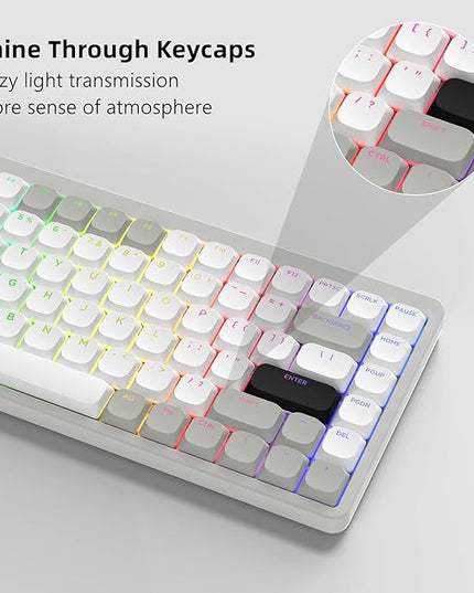 Womier Low Profile Keycaps - Shine Through Keycaps 60 65 75 100 Percent, Keyboard Key caps PBT Full Size for Cherry Gateron MX Switches Mechanical Keyboard, Grey/White