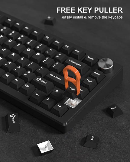 Womier Double Shot PBT Keycaps Set 138 Keys, Cherry Profile Custom Keycaps 60 65 75 100 Percent for 61/64/68/84/87/100/104/108 Retro Gaming Mechanical Keyboard, Black
