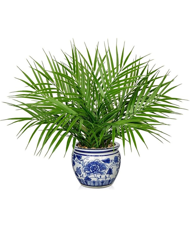 Hollyone Large Artificial Potted Plants Fake Palm Plants 16" Faux Green Plant Plastic Tropical Palm Tree in Blue and White Porcelain Ceramic Pots for Home Room Office House Indoor Decoration