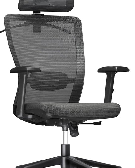 FLEXISPOT Classic Ergonomic Office Chair with High Back Swivel Computer Chair Executive Office Desk Chairs, with Lumbar Support/2D Headrest/Lockable Tilt Function, Foam Seat Cushion, Gray