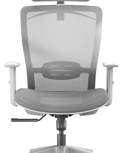 FLEXISPOT OC3 Air Ergonomic Office Chair High Back Computer Chair with Adjustable Lumbar Support/Armrest/, Breathable Mesh Seat Cushion Backrest, Chairs for Home Office Gaming Working, Light Gray