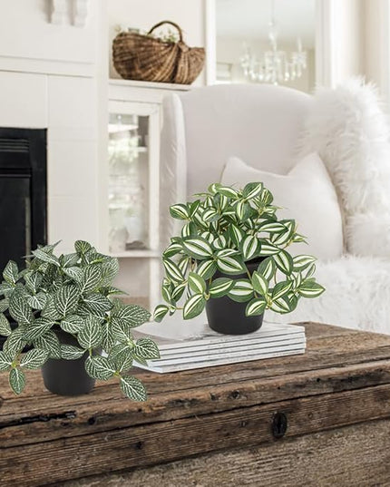 Hollyone Fake Plants 3 Packs Artificial Plants Indoor Faux Plants with Black Plastic Pot Small Fake Potted Plant for Home Aesthetic Living Room Bathroom Desk Shelf Office Decor