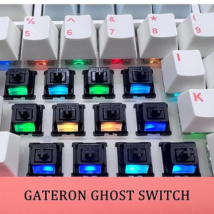 Gateron Ghost Switches for MX Mechanical Keyboard,5-Pin 48gf/Linear/Pre lubed/RGB/POM/Dual-Stage Spring Switches(72pcs)