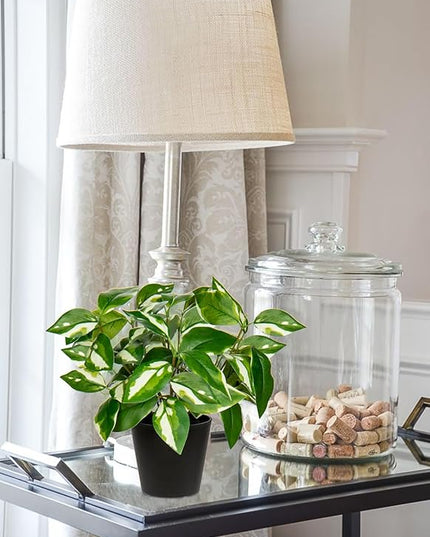 Oairse Artificial Plants Indoor Small Fake Plants in Pots Faux Pothos N‘ Joy Potted Plant Fake Indoor Plants with Black Pots for Bathroom Living Room Office Desk Shelves