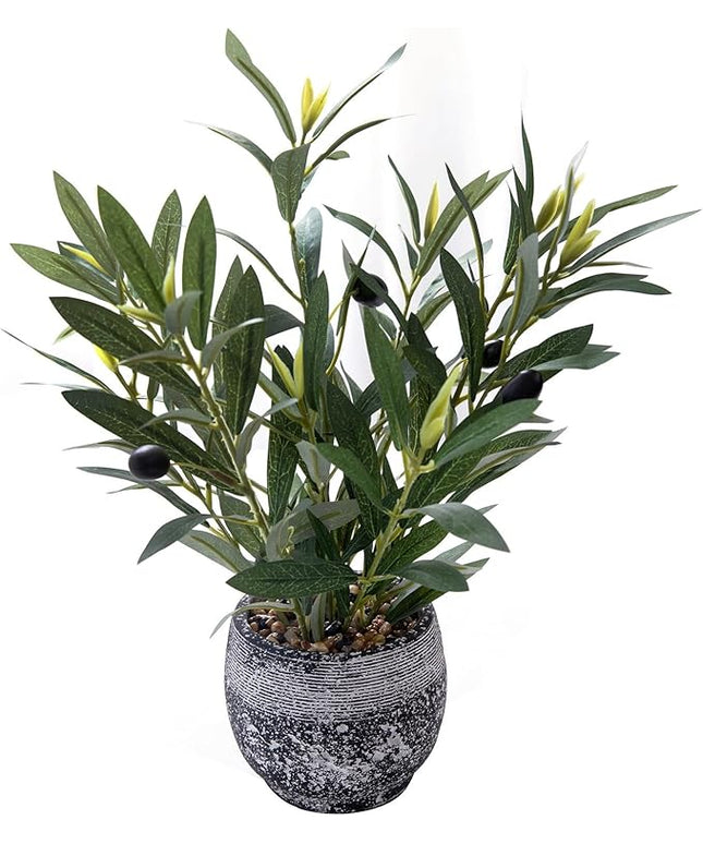 Ewtogift Indoor Faux Olive Plant 12 inch Artificial Silk Leaves in Elegant Planter Perfect Fake Olive Branches with Realistic Trunk and Lifelike Fruits Tabletop Greenery Decor for Home Office