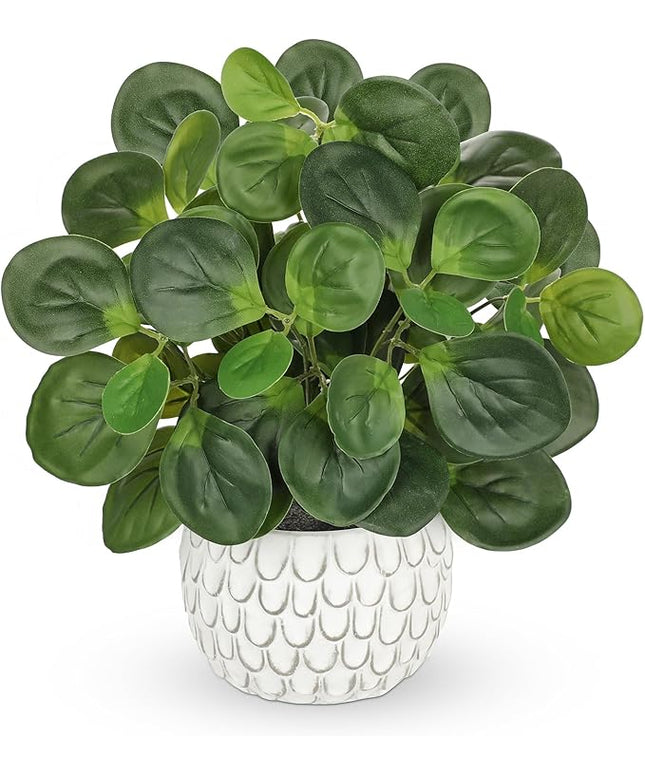13" Artificial Plants Indoor Small Fake Plant in White Ceramic Pot, Silk Plants for Home Decor Indoor, Faux Potted Plant for Shelves, Desks, Home, Room, Office, Bedroom, Entryway, Tabletop Decor