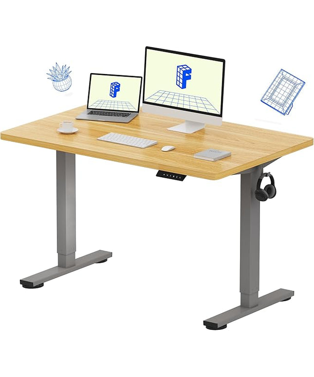 FLEXISPOT EN1 One-Piece Height Adjustable Desk 48 x 30 inch Electric Standing Desk for Home Office (Silver Frame + 48" Natural Top, 2 Packages)