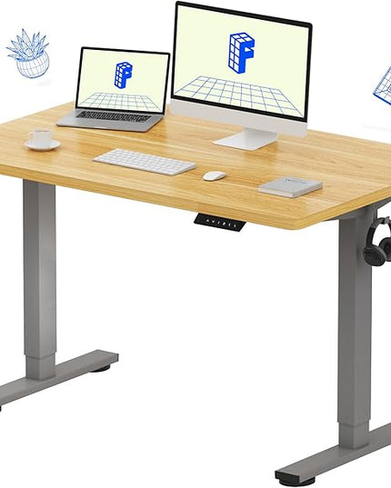 FLEXISPOT EN1 One-Piece Height Adjustable 48 x 24 inch Electric Standing Desk, Stand Up Desk for Home Office (Silver Frame + 48" Natural Top, 2 Packages)