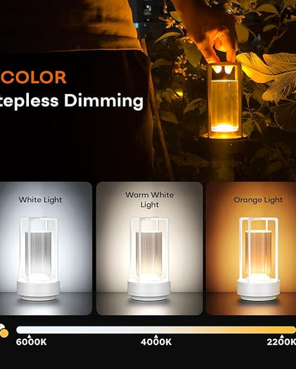Portable Metal Table Lamp for Indoor/Outdoor ,Rechargeable Cordless LED Lamp, 3-Colour Infinitely Dimming Battery Powered Small Desk Lamp, Restaurant/Bedroom/Bar/Coffee/Camping Light (White Set of 2)