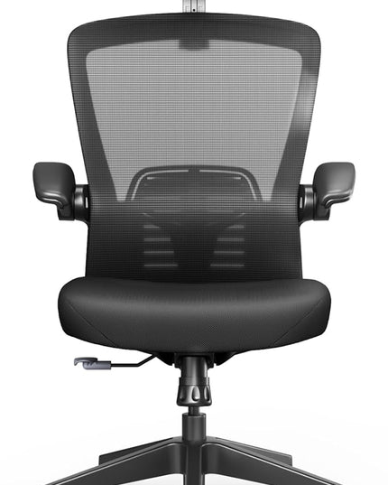 FLEXISPOT OC3-Pro Cloud Ergonomic Office Chair for Big and Tall Black, High Back Office Chair with Flip-up Arm/8-Level Lumbar Support, Foam Seat Cushion, Chairs for Home Office Studying Gaming, Black